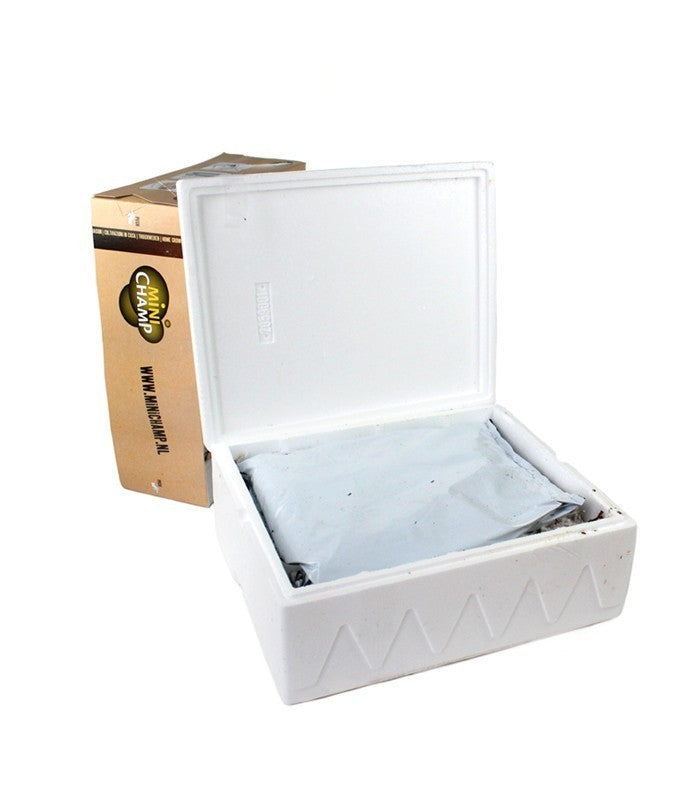 Kit fungo gelone