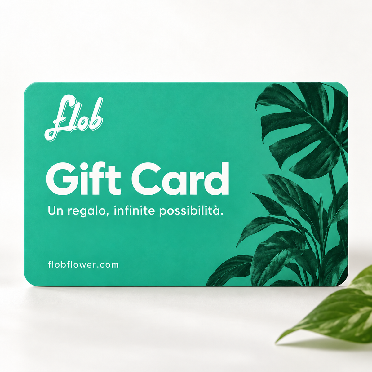 Gift card FLOB