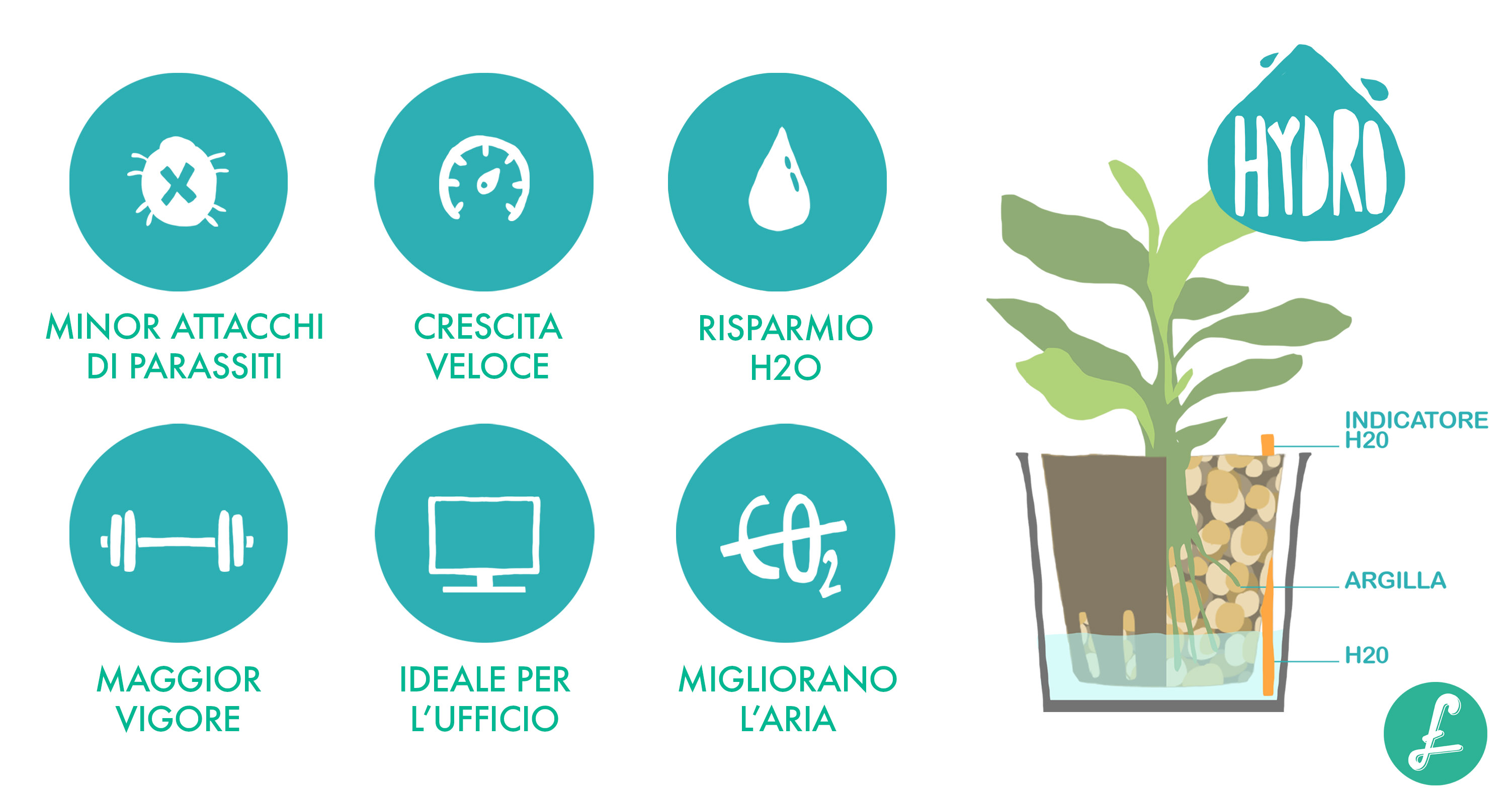 kit idroponica