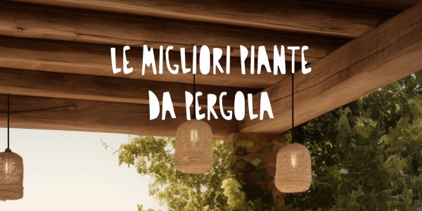 Le Migliori Piante da Pergola: Quali Scegliere in Base alla Struttura e all’Esposizione