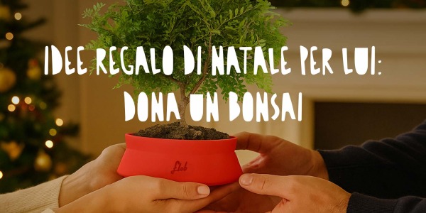 Idee regalo Natale per lui: dai il dono di un bonsai, mindfulness e bellezza