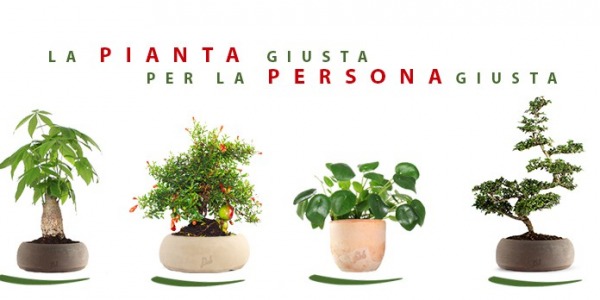La pianta giusta per la persona giusta... anche a Natale!